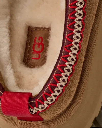 Ugg Tazz Boots In Brown