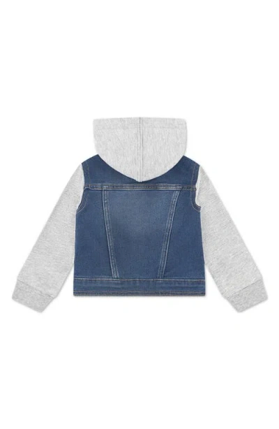 Levi's Baby Boys Hooded Trucker Jacket In Blue