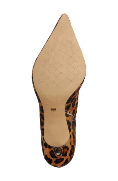 Arezzo Sasha Pointed Toe Knee High Boot In Animal Print