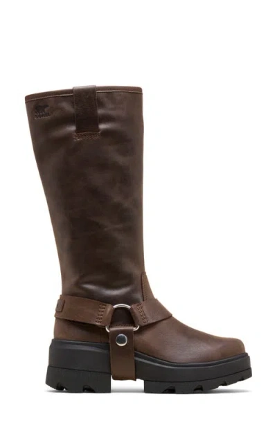 Sorel Women's Joan Frwd Leather Tall Boots In Brown