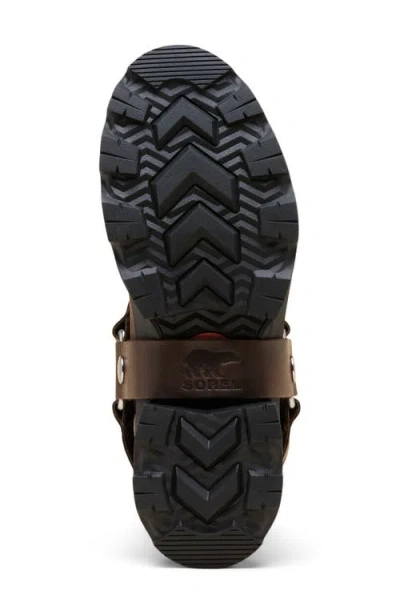 Sorel Women's Joan Frwd Leather Tall Boots In Brown