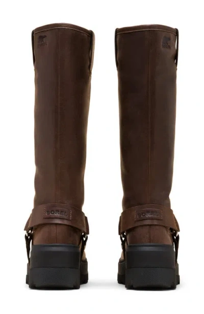 Sorel Women's Joan Frwd Leather Tall Boots In Brown