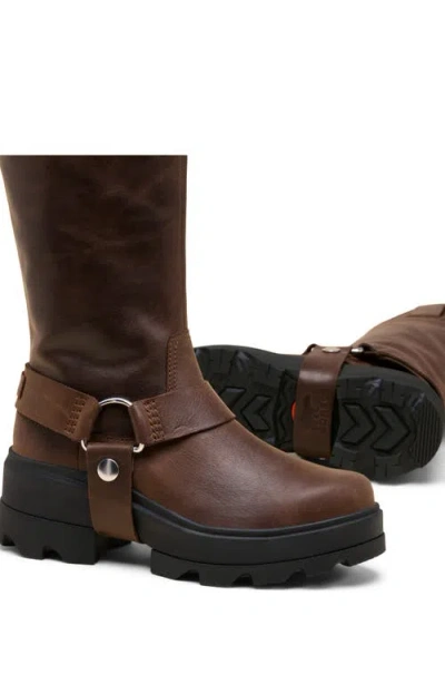 Sorel Women's Joan Frwd Leather Tall Boots In Brown