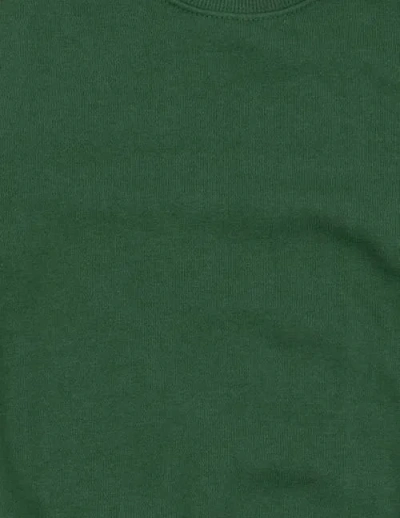 Leveret Kids Pullover Sweatshirt, Long Sleeve, Solid Colors In Green