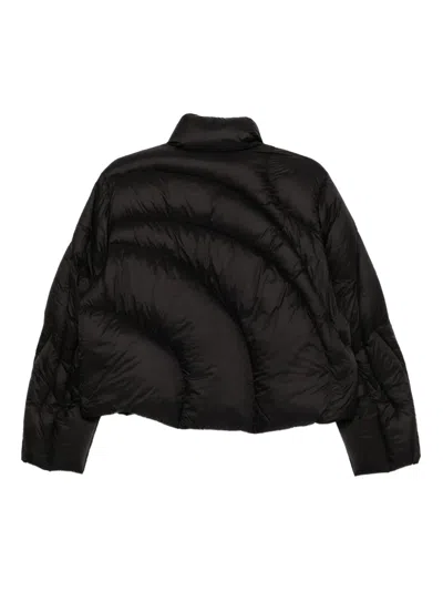 Jnby Cropped Puffer Jacket In Black