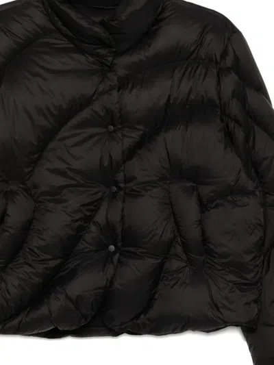 Jnby Cropped Puffer Jacket In Black