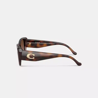 Coach Maxi Sculpted C Oversized Rectangle Sunglasses In Brown