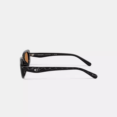 Coach Quilted Oval Rectangle Sunglasses In Black