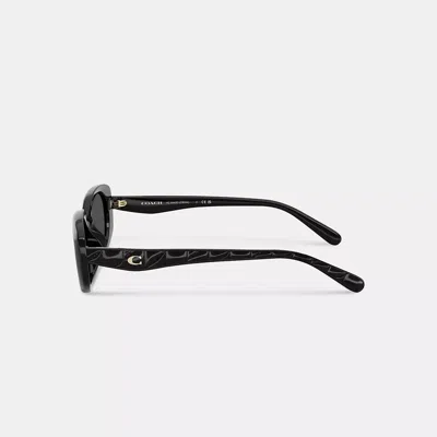 Coach Quilted Oval Rectangle Sunglasses In Black
