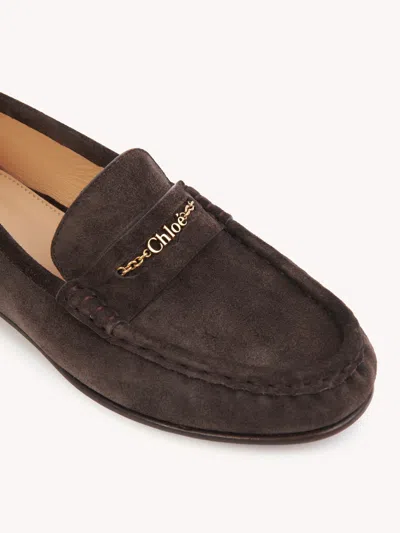 Chloé Chloe Women Dark Brown Suede Loafers In Brown