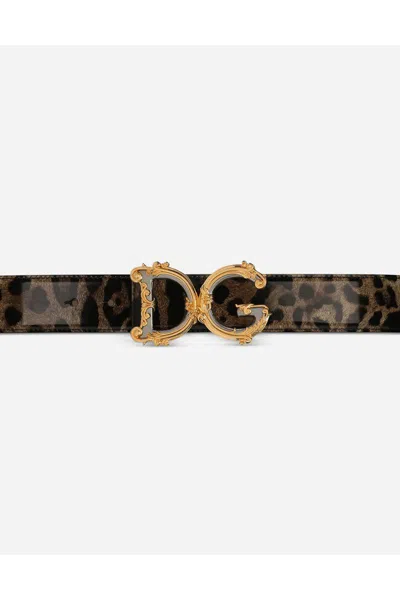 Dolce & Gabbana Barocco Leather Belt Gold-tone Buckle In Brown