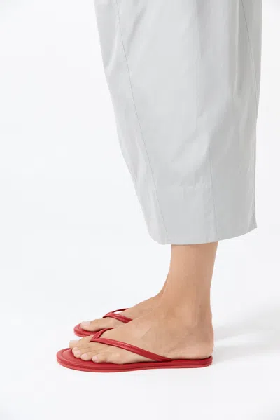 St Agni Leather Flip Flops In Red