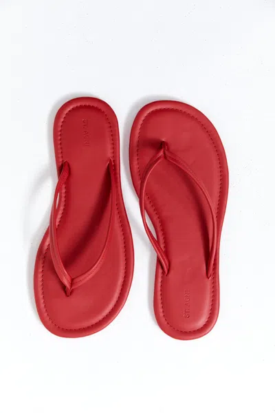 St Agni Leather Flip Flops In Red