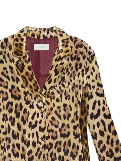 Maliparmi Leopard-print Button-front Jacket In Brown