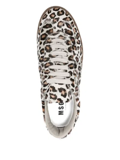 Msgm Leopard-print Calf-leather Sneakers In Neutral