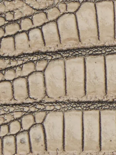 Roberto Cavalli Ivory Belt With Cobra Print And Snake Buckle In Neutral