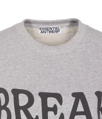 Essentiel Antwerp Ixperience Sweatshirt In Gray