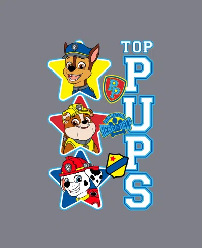 Paw Patrol Boys Toddler 2t-5t Top Pups Short Sleeve T-shirt In Gray