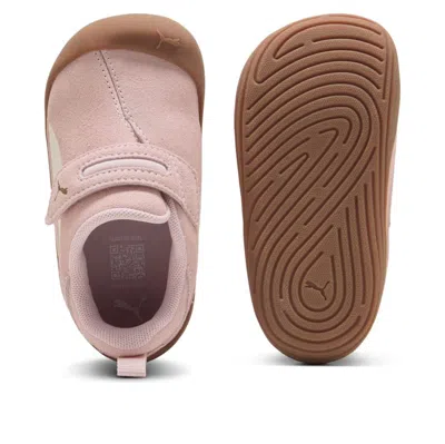 Puma (td)  Kitten Premium 'mauve Mist' In Pink