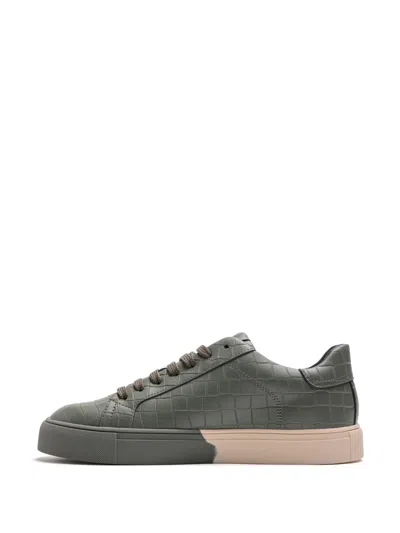 Hide & Jack Crocodile-embossed Sneakers In Green