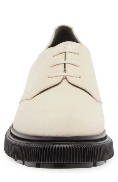 Adieu White Type 202 Derbys In White