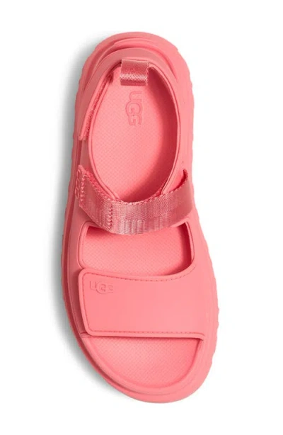 Ugg Women Goldenglow Sandals In Tropical Pink In Pink