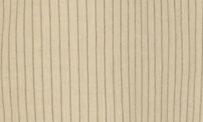 Max Studio Stripe Appliqué Button-up Shirt In Brown