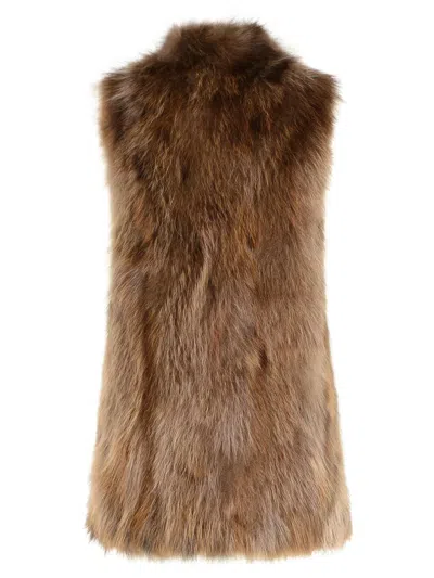 Bully Camel Raccoon Fur In Brown