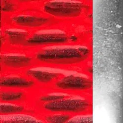 Isabel Marant Blacke Patterned Earrings