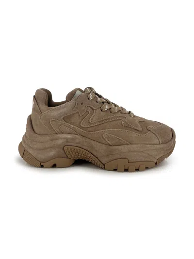 Ash Addict Sneakers In Beige Suede In Brown