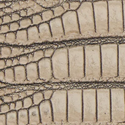 Roberto Cavalli Ivory Belt With Cobra Print And Snake Buckle In Gold