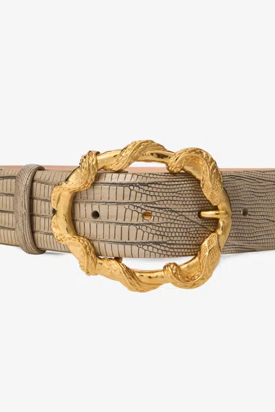 Roberto Cavalli Ivory Belt With Cobra Print And Snake Buckle In Gold