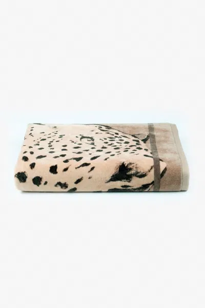 Roberto Cavalli Big Cat Print Beach Towel In Animal Print