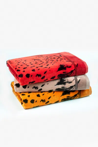 Roberto Cavalli Big Cat Print Beach Towel In Animal Print
