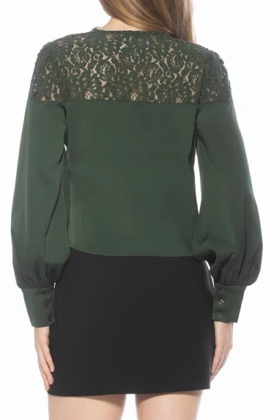 Alexia Admor Bryne Lace Trim Top In Green