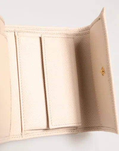 Dolce & Gabbana Light Pink Calf Leather Dg Logo French Flap Women's Wallet In Gray