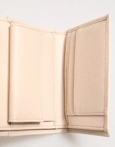 Dolce & Gabbana Light Pink Calf Leather Dg Logo French Flap Women's Wallet In Gray