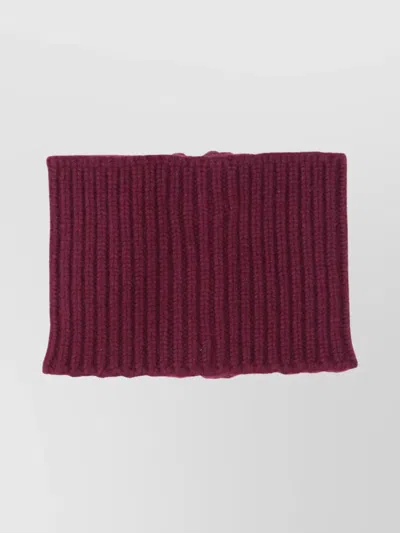 Sa Su Phi Textured Ribbed Scarf For All Seasons In Burgundy