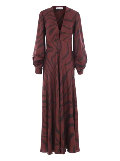 Raquel Diniz Valerie Long Dress In Brown