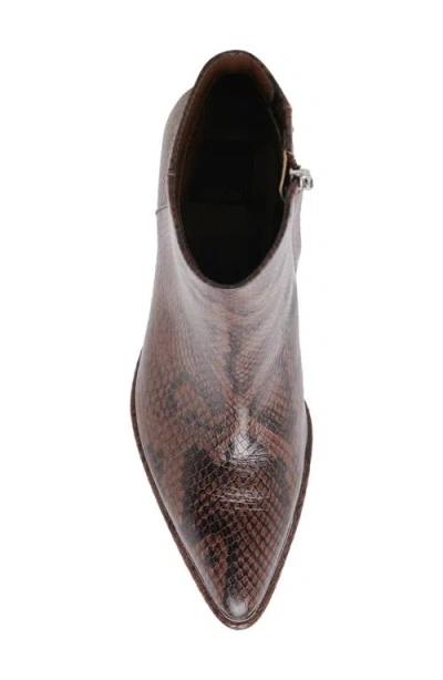 Dolce Vita Nonah Java Snake-embossed Pointed-toe Ankle Boots In Brown