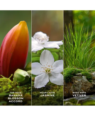 Marc Jacobs Christmas 2025 Daisy Wild Eau De Parfum 100ml Gift Set In Green