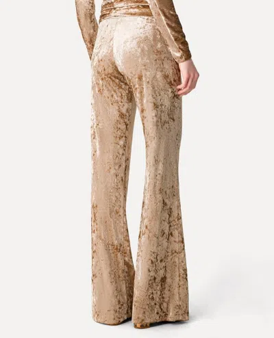 Forte Forte Iridescent Stretch Velvet High-waisted Trousers In Gold
