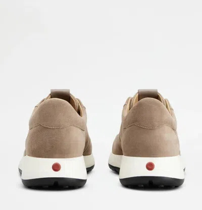 Tod's Round Toe Suede Finish Rubber Sole Sneakers In Animal Print