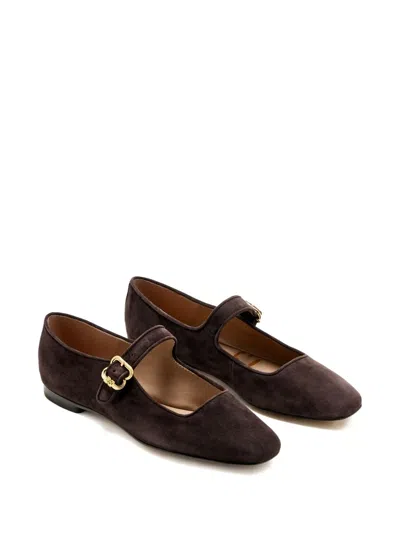 Sam Edelman Michaela Ballet Flats In Brown