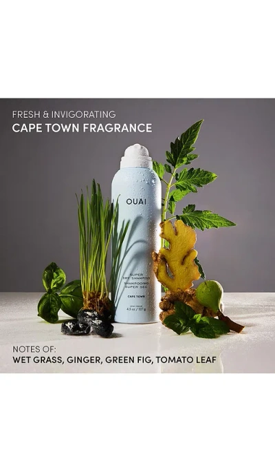 Ouai Travel Super Dry Shampoo In Blue