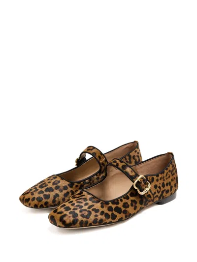Sam Edelman Womens Michaela Leopard-print Leather Ballet Flats Tan Comb Eur 37 / 4 Uk In Brown
