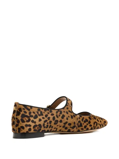 Sam Edelman Womens Michaela Leopard-print Leather Ballet Flats Tan Comb Eur 37 / 4 Uk In Brown