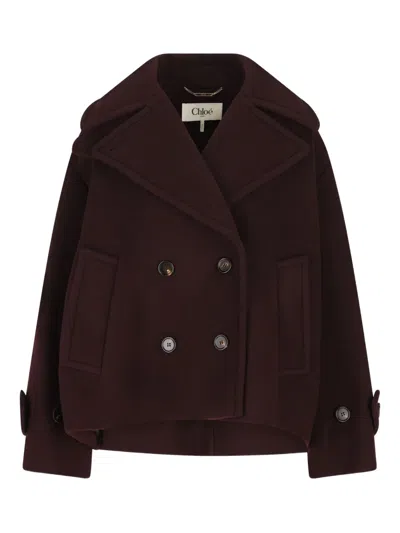 Chloé Women Violet Double-breasted Jacket With Wide Notched Revers And Dropped Shoulders In Wool Ble In Brown