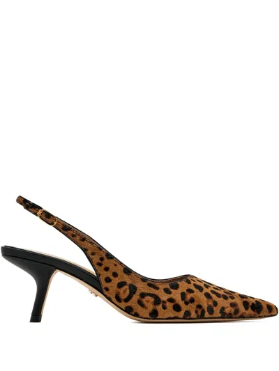 Sam Edelman Bianka Slingback Kitten Heels In Brown