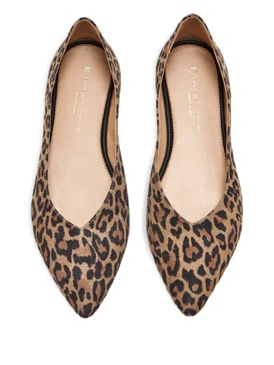 House Of Ballerinas Leopard-print Pointed-toe Flats In Animal Print